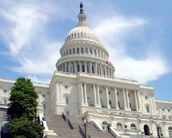 The Poker Grapevine – DC Online Poker Law on Hold